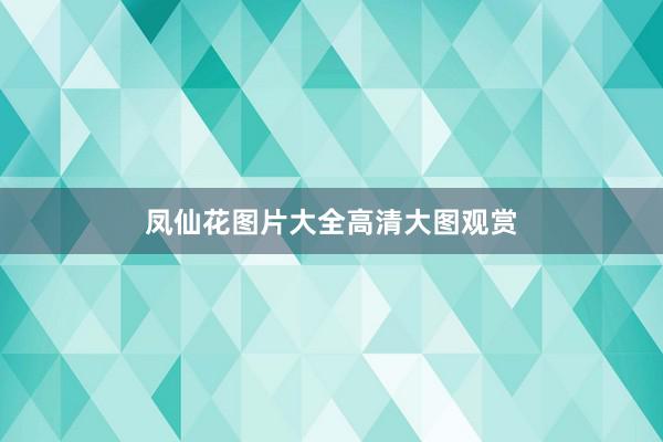 凤仙花图片大全高清大图观赏